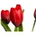 OTTO home Kunstblume OTTO HOME "Tulpenbündel Holland real Touch", rot, B:10cm H:35cm T:10cm Ø:10cm, Kunststoff, Kunstpflanzen