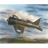 Special Hobby Polikarpov I-16 Chinese & Japanese Mark. 1:32
