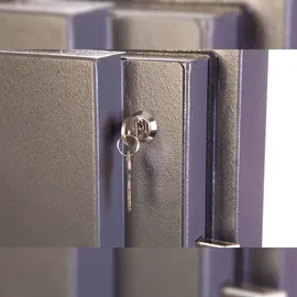 Phoenix Cosmos HS9074E