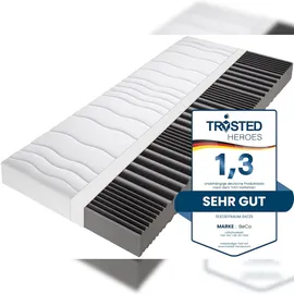 Beco Dream Flex 90 x 200 cm H3