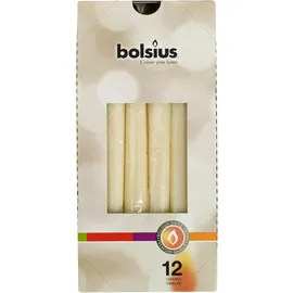 Bolsius Spitzkerzen cellophaniert 245/24 mm Elfenbein
