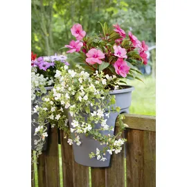 KHW Flowerclip Ø 27 x 27,5 cm Beere