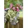 KHW Flowerclip Ø 27 x 27,5 cm Beere