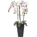Homescapes Kunstblume Orchidee weiß Groß