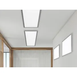 Trio Phoenix (674011207)