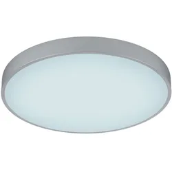 Trio Leuchten LED-Deckenleuchte WACO - D/H ca. 49,50x6,50