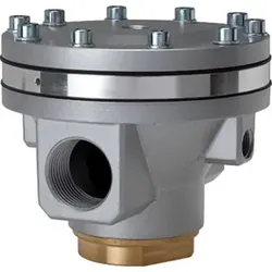 Riegler Druckregler pneumatisch ferngesteuert »Standard«, G 2