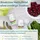 Igennus Reine Folsäure als L-Methylfolat Tabletten 180 St.