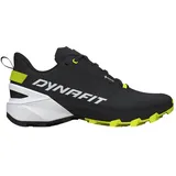 Dynafit Herren Transalper 2 GTX Schuhe (Größe 45, schwarz)