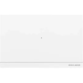 Busch-Jaeger Smart Access Point Pro