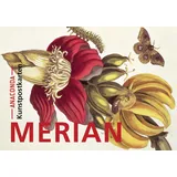 Anaconda Postkarten-Set Maria Sibylla Merian