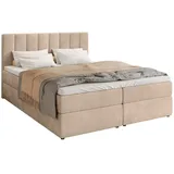 bromarkt Boxspringbett mit Bettkasten, Polsterbett, Bett Beige, Textil, H3, Höhe ca. 18 cm, 160x200 cm, Schlafzimmer, Betten, Boxspringbetten