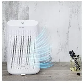 Cecotec BigDry 2500 Essential 360 - One Size - EU Plug 220V