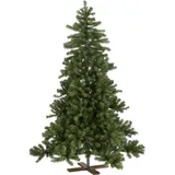 Star Trading Best Season Weihnachtsbaum Vidaby Grün, 210 Cm, Holzfuß