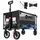 Sekey Bollerwagen Faltbar schwarz/grau