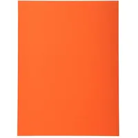 Exacompta 420007E 100er Pack Aktendeckel Forever® 170 g/m2 Aus