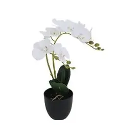 Paperflow meet powered by PAPERFLOW ORCHIDEE Kunstpflanze 40,0 cm