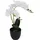 Paperflow meet powered by PAPERFLOW ORCHIDEE Kunstpflanze 40,0 cm