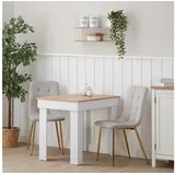 Homestyle4u 2333, 2er Set Esszimmerstühle Stuhl Sessel Samt Wohnzimmer Küchenstuhl Polsterstuhl Beige Creme Gold 2 Stück