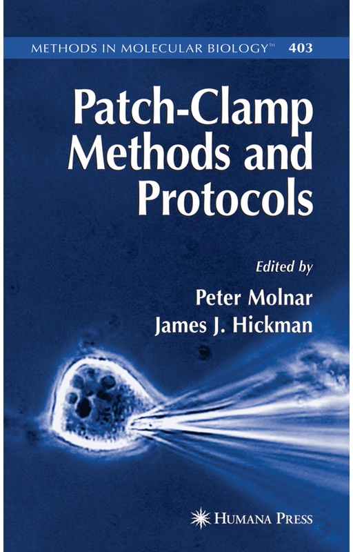 Patch-Clamp Methods And Protocols, Kartoniert (TB)