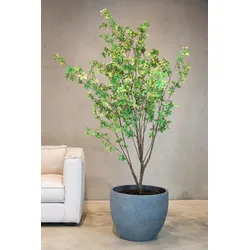 Japanische Prachtglocke Kunstpflanze 175 cm