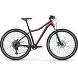 Centurion Backfire Fit Pro 800.29 Hp2 Merlotrot S 43