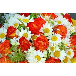 Fototapete PAPERMOON "BLUMEN-STRAUß-ROSEN GÄNSEBLÜMCHEN PFLANZEN ORCHIDEEN", bunt, B:4,00m L:2,60m, Vlies, Tapeten