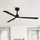 parrot uncle 127 cm Deckenventilator Schwarz