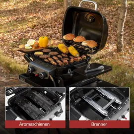 Royal Gourmet 2-Brenner Tragbarer Gasgrill schwarz