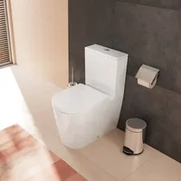 Hansgrohe EluPura S Stand-WC mit AquaFall Flush, 60260450,