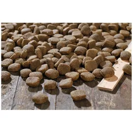 Bewi Dog Lamm & Reis 12,5 kg