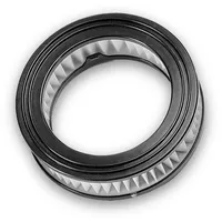 Einhell Filter für Luftauslass Stielstaubsauger