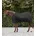 Fleece schwarz 165 cm