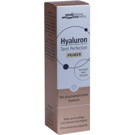 DR. THEISS NATURWAREN Hyaluron Teint Perfection Primer 30 ml