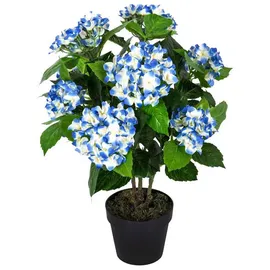Homescapes Kunstpflanze Blau Hortensie im Topf, 70 cm
