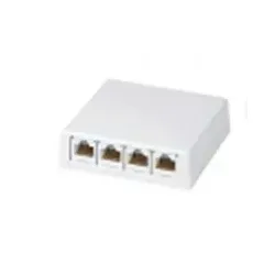 Panduit 4-port Outlet Without Moduls, Weiß