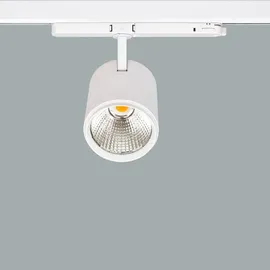 Brumberg Leuchten LED-Schienenstrahler 230 V 88183184