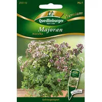 Quedlinburger Majoran Marcelka von Quedlinburger Saatgut