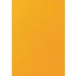 Multifunktionsetiketten Neonorange Rechteckig 25 Etiketten pro Packung