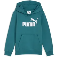 Puma Hoodie Emerald Ice 110