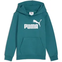 Puma Hoodie Emerald Ice 110