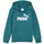 Puma Hoodie Emerald Ice 110