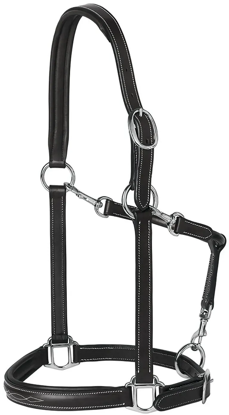 PRESTIGE Lederhalfter schwarz VB