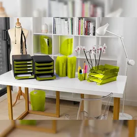 Exacompta Stehsammler MAG-CUBE, Iderama - Anisgrün