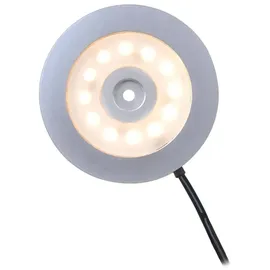 PRO PLUS Aufbauspot 12 LEDs Ø55x5,0mm grau