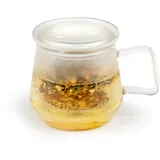 Bredemeijer Teeglas 350 ml mit Glas-Teefilter & Glasdeckel - einwandige transparente "Tea for One" Glas-Teetasse für 1 Tasse losen Tee