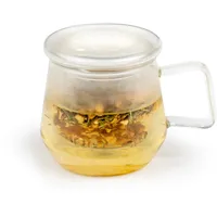 Bredemeijer Teeglas 350 ml mit Glas-Teefilter & Glasdeckel - einwandige transparente "Tea for One" Glas-Teetasse für 1 Tasse losen Tee