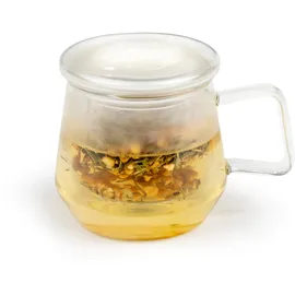 Bredemeijer Teeglas 350 ml mit Glas-Teefilter & Glasdeckel - einwandige transparente "Tea for One" Glas-Teetasse für 1 Tasse losen Tee