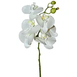 Orchidee Dekozweig Künstlich - Weiße Blüten - Hochwertig & Naturgetreu - Phalaenopsis/Orchidee - Länge: 60cm - Einzelblume/Seidenblume/Tischdekoration Hochzeit/Hochzeitsdeko