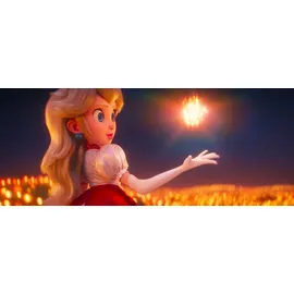 Der Super Mario Bros. Film